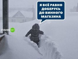 это ж вроде с Сахалина фотке, не?