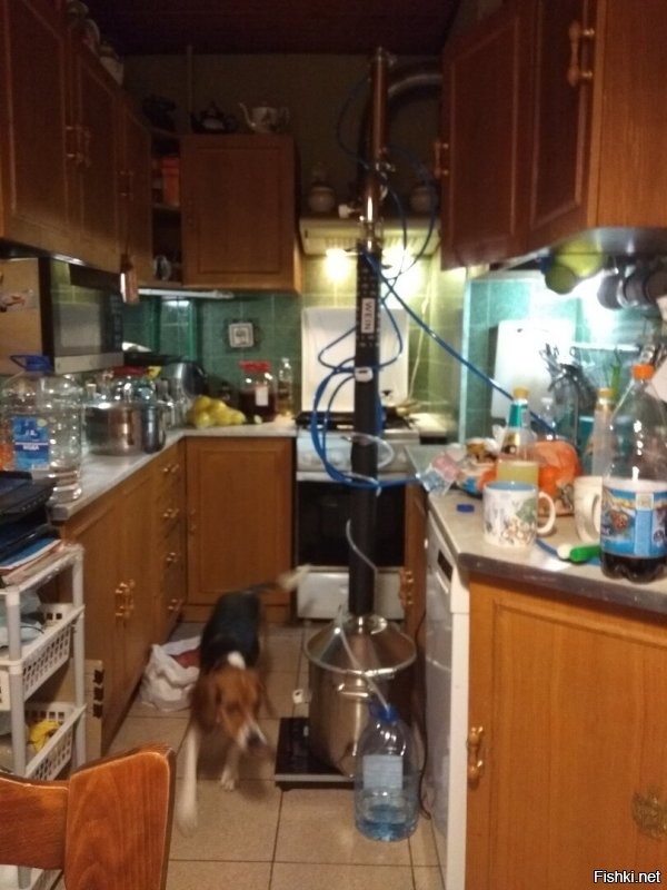 да это бражка на сырец на газу, потом на индукции