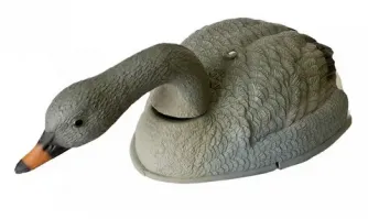 А вообще то, я в прошлом году на охоту ездил и там пролюбил чучело гуся....
Я чё, на марсе был?
Ничего не помню