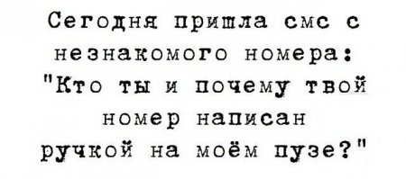 Смешные и познавательные картинки