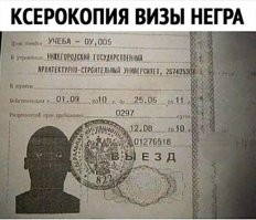 20+ любопытных фактов, которые пополнят копилку знаний обо всем на свете