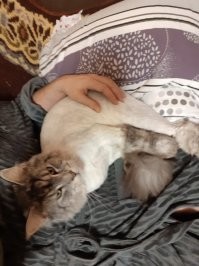вот и мы своего побрили когда сын родился :)  но раз уж судьба его у нас отняла, решили второго заводить, когда сыну будет хотя бы 3 годика.
