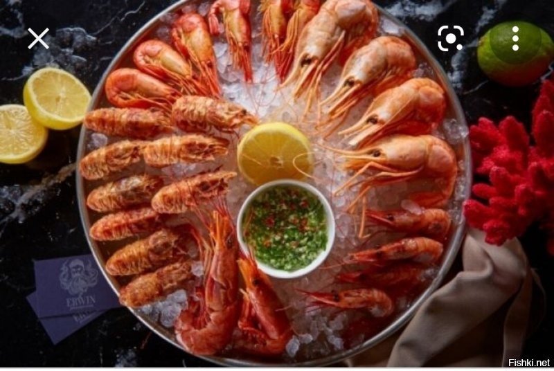 В ресторанах креветки подают на льду
"просто в холодном виде их вкус раскрывается максимально ярко, и лёд призван усилить этот эффект. Имейте ввиду, что на льду подают только качественные свежие креветки. Холод придаёт креветкам свежести, а если креветки приготовлены с острыми приправами и соусами   то лёд помогает сгладить острый эффект, помогая нежному вкусу морепродукта не уйти на второй план."