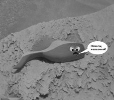 “Марсианская Золушка потеряла?” Странный снимок с Марса заинтересовал пользователей сети