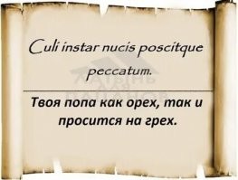 Девушки в лосинах