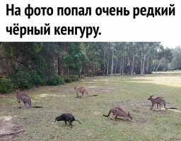 Вот редкий кадр