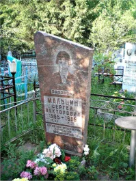 Вы не читали что я написал?