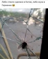 Муха - я вас уверяю - сделана в России.
