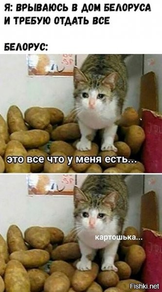 "Картошька" - это у тех, чью национальность в РФ запрещено называть. А у белорусов - бульба