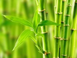 Курить нужно вот это.