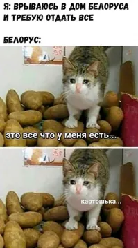 Хорошая картошка, вот такую я бы купил.