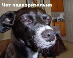 Домушник изучает замок в двери в подмосковных Мытищах