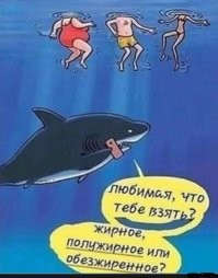 Смешные видео по&nbsp;5&nbsp;- 30&nbsp;секунд