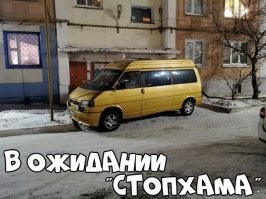 Автовсячина