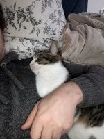 Не бросил погибать на морозе