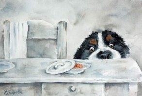 "За хорошую еду&nbsp;вверх тормашками пойду": животные просят поесть