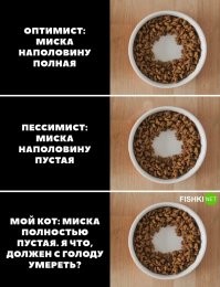 Это не потому, что домашние коты обнаглевшие сволочи, хотя и это тоже факт. У котов очень чувствительные усы, им не нравится есть когда усы чего то касаются. В зоомагазинах продаются миски сделанные так, что не учитывают эту особенность котов. Их просто делают с высокими бортиками, чтобы коты еду не разбрасывали. Но если коту поставить обычное блюдечко без бортов он будет доедать все