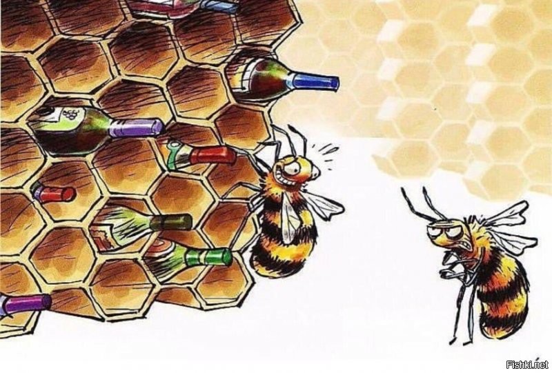 Башкирские пасечники боятся, что их пчёлы будут скрещиваться с французскими и испортят мёд