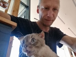 Моя котейка-хромоножка. Увы, но на лечение лапки денег уже не хватило, а сейчас уже поздно. Спит со мной всегда))