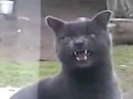 ..., открой! Холодно. Хавать хочу!