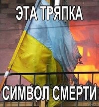 Приз в студию: выступление Зеленского тянет на Нобелевку в номинации «Воробей мира»