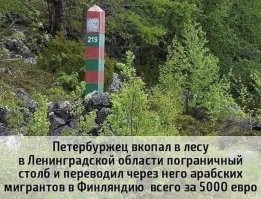 Смешные и познавательные картинки
