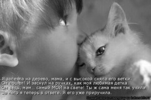 15 кадров, которые доказывают, что мужская любовь не знает границ