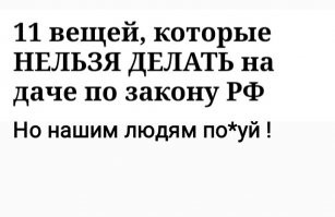 Как выглядят немецкие дачи и что на них делать нельзя