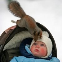 - Орехи есть?

- Ты чё?!  У меня и зубов-то нет!