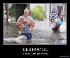 15 кадров, которые доказывают, что мужская любовь не знает границ