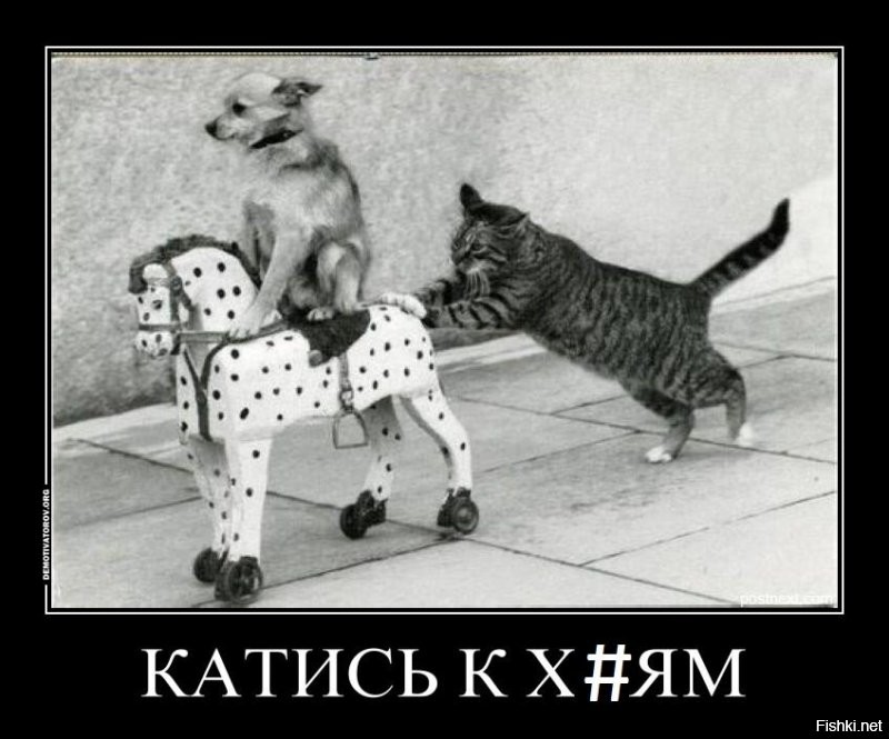 Мясников, ну ты понял...