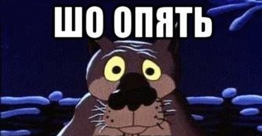 Как выглядят немецкие дачи и что на них делать нельзя
