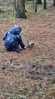 Ещё любим ходить белок кормить  с руки.