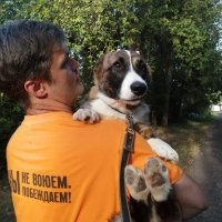 Мой пёсель первый раз увидел манула!