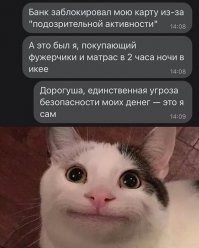 Банк очень правильно заподозрил мошенничество - Икея в 2 часа ночи не работает...
