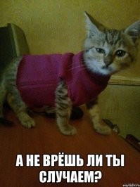 Смешные комментарии из&nbsp;социальных сетей-49