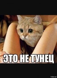 Смешные комментарии из&nbsp;социальных сетей-49