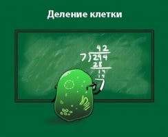 Чё за хрень? Деление в столбик тоже поменяли?