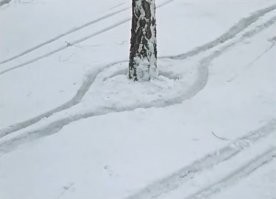 Спуск на лыжах