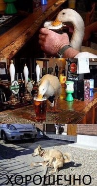 Сборник приколов