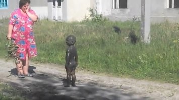 Классику забыли!