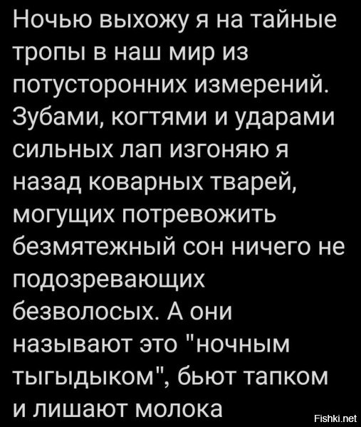 Сцуки двуногие! Котиков обижать удумали!