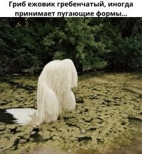 Напомнило...