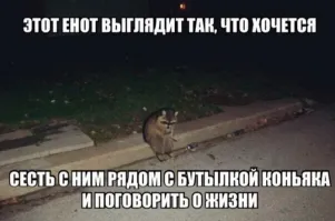 Забавные демотиваторы на понедельник 