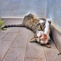 Вот так правильней будет и правдивей