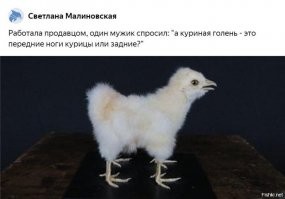 15 фотографий, которые расскажут больше, чем энциклопедия