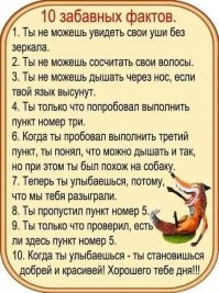 Забудь о политике...Заходи, улыбнись