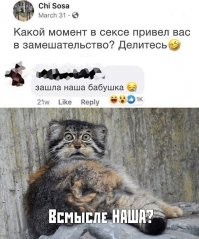 Забудь о политике...Заходи, улыбнись