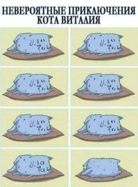 Забудь о политике...Заходи, улыбнись