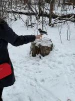 Так появилась ампутация!